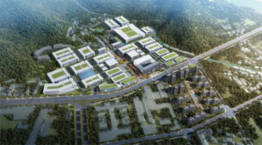 ������ʱ����