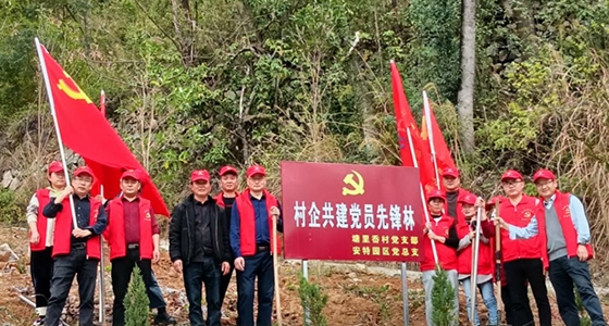 ���󹲽�����������ֲ�ȷ���