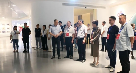 El Grupo Central jingning, diputado del quinto Congreso Popular Municipal de lishui, investig�� al Grupo ante.