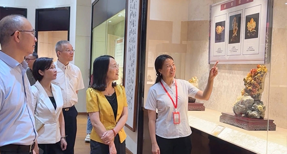 Explorando el estilo oriental, ante �� ni Dongfang galer��as de arte resuena con el pulso de los tiempos